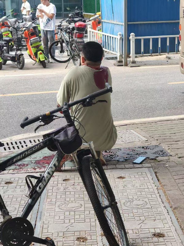 #武汉大学 武汉大学朱湛因论文没通过 食堂无差别刀人#凶手朱湛自述