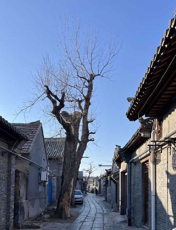 #青州 #古城小巷 青州古城小巷情侣野战视频 火爆全网！中午在弥河帐篷打野战 晚上转战古街享受口交 还淡定与路人聊天！路人骑电动车经过，看到这画面一愣！停下来掏出手机就拍！更离谱的是，男的发现被拍不仅不慌，还跟路人唠起嗑，女的则继续“埋头苦干”，完全不care镜头！网友调侃