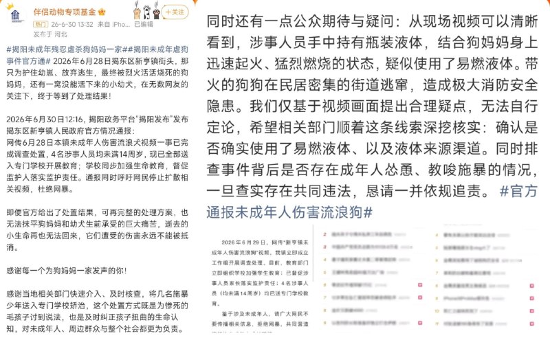 #揭阳虐狗 广东省揭阳市揭东区新亨镇坪埔村发生一起虐待流浪狗事件