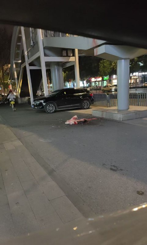 #武汉花园道 #武汉 🔥 热搜 武汉花园道惊现成两截的碎尸体！目前不知道是他杀还是自杀！⚠️血腥，胆小勿看‼️‼️#武汉花园道 #武汉 🔥 热搜 武汉花园道惊现成两截的碎尸体！目前不知道是他杀还是自杀！⚠️血腥，胆小勿看‼️‼️