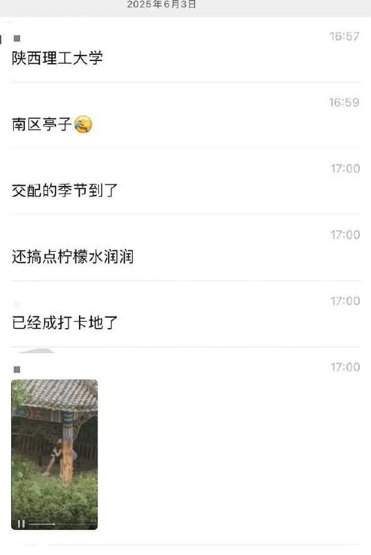 #陕西理工大学 陕西理工大学南区亭子情侣户外激战全网疯传 40秒完整版视频#陕西理工大学 陕西理工大学南区亭子情侣户外激战全网疯传 40秒完整版视频