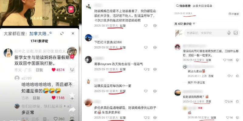 #陪读妈妈 #三通一达 出国陪读妈妈 淫乱视频流出 这些少妇在国外是真丢脸啊 给老外当母狗干！☁️口令 【陪读妈妈】