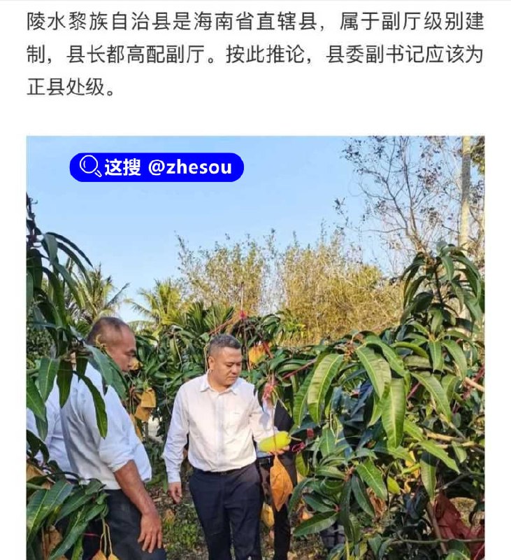 #程度先生 #程思月 #肖峰 #陵水县委副书记 抖音程度先生本名程学申，实名举报海南省陵水县县委副书记兼政法委书记肖峰，长期和他老婆保持不正当性关系